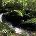 Sandra Im Bayerischen Wald Mit Pool 아파트 프레이분크