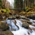 Sandra Im Bayerischen Wald Mit Pool 프레이분크