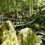 아파트 Sandra Im Bayerischen Wald Mit Pool *