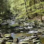 아파트 Sandra Im Bayerischen Wald Mit Pool 프레이분크
