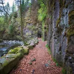 Sandra Im Bayerischen Wald Mit Pool