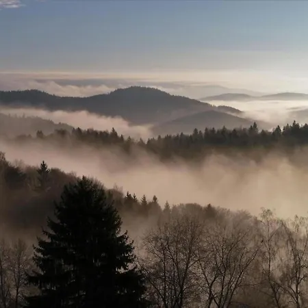 Sandra Im Bayerischen Wald Mit Pool Daire Freyung