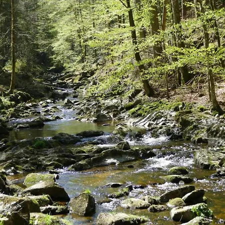 Daire Sandra Im Bayerischen Wald Mit Pool Freyung