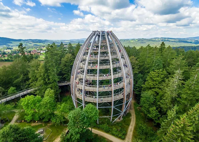 Sandra Im Bayerischen Wald Mit Pool