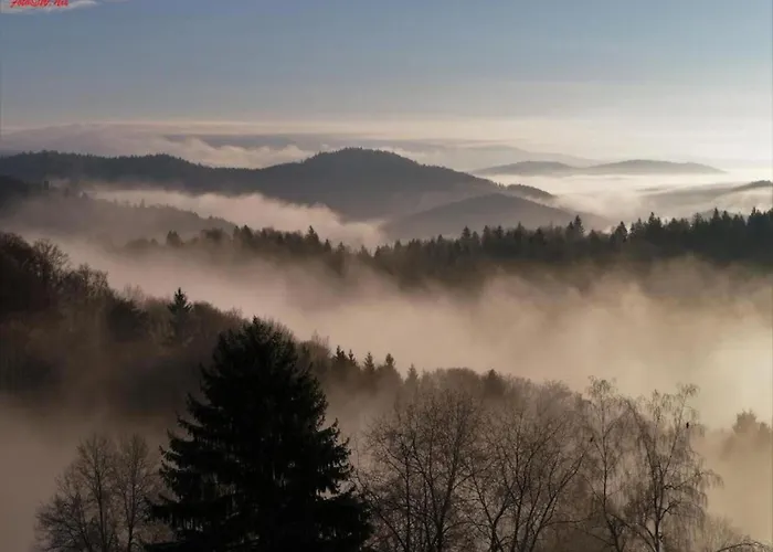 Sandra Im Bayerischen Wald Mit Pool Апартаменты Фрайунг
