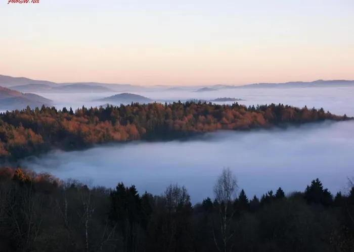 Sandra Im Bayerischen Wald Mit Pool * Фрайунг