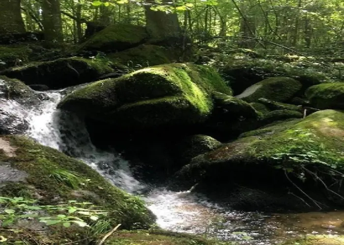 Sandra Im Bayerischen Wald Mit Pool Апартаменты Фрайунг