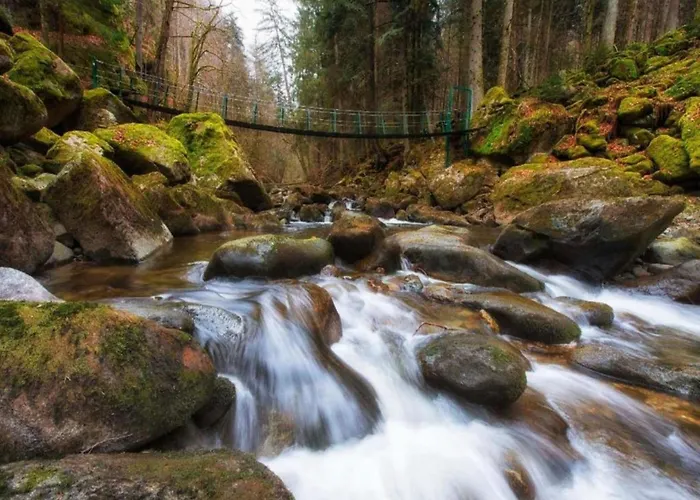 Sandra Im Bayerischen Wald Mit Pool Фрайунг