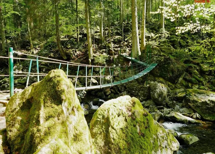 Апартаменты Sandra Im Bayerischen Wald Mit Pool *