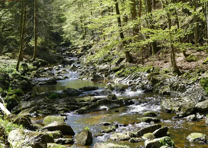 Апартаменты Sandra Im Bayerischen Wald Mit Pool Фрайунг