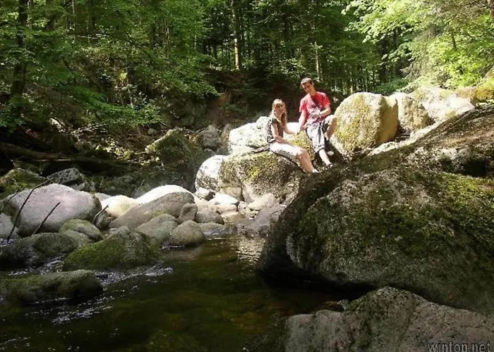 Sandra Im Bayerischen Wald Mit Pool