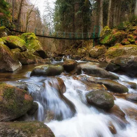 Sandra In The Bavarian Forest With Pool Freyung