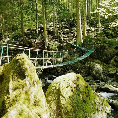 Apartmán Sandra Im Bayerischen Wald Mit Pool *