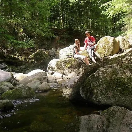 Sandra Im Bayerischen Wald Mit Pool