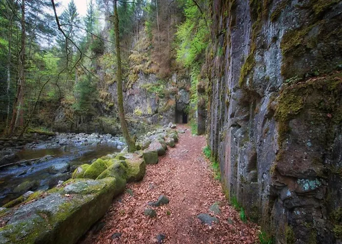 Sandra Im Bayerischen Wald Mit Pool
